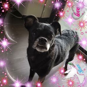 Meet your Posher, Tracy